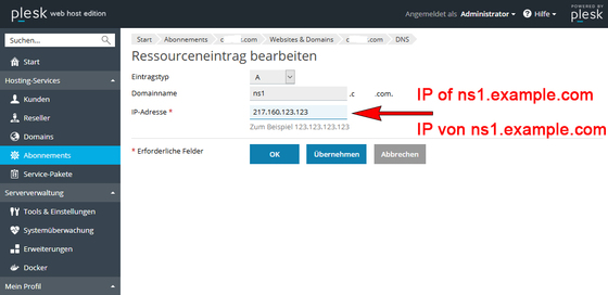 Eigene Nameserver - 1und1 Server - Plesk Onyx
