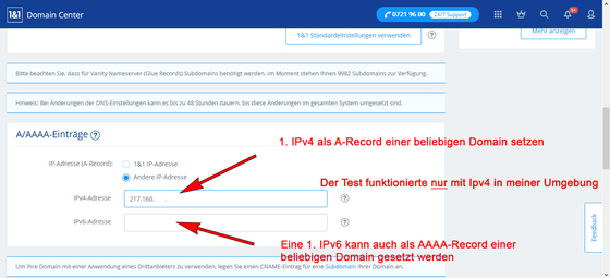 Die erste IPv4 als A-Record der 1. DNS-Domain setzen.