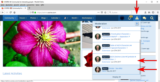 Woltlab Suite – Moderation – Content Reports – See, Edit, React-1