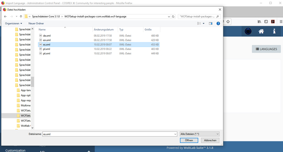 Update language files in WoltLab Suite – Selecting new language file to import.